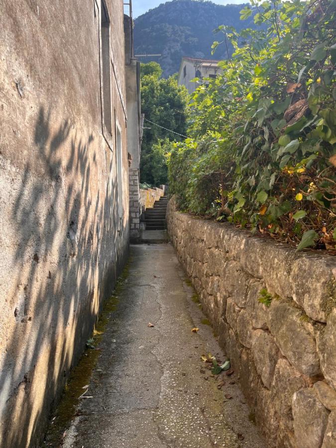 Apartment With Sea View Kotor Bagian luar foto