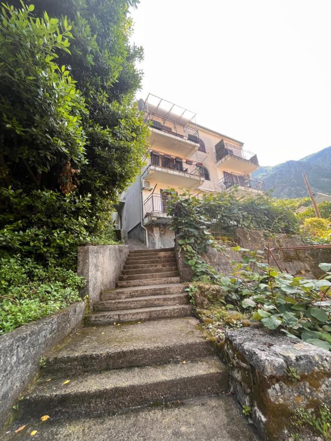 Apartment With Sea View Kotor Bagian luar foto